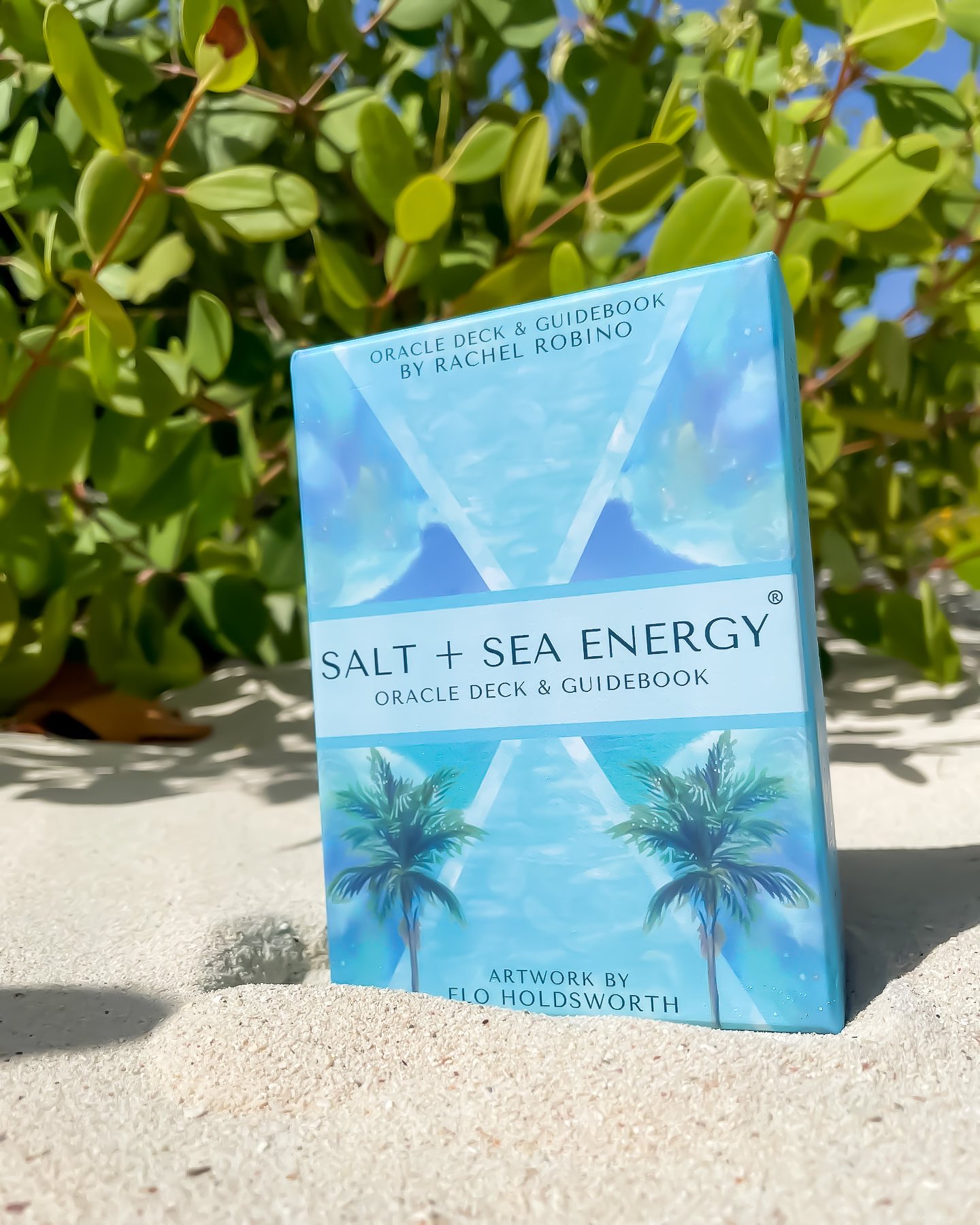 Salt + Sea Energy Oracle: 2021 Edition | Salt + Sea Energy